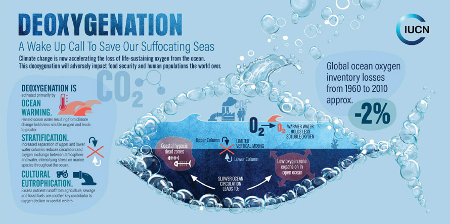 Earth's Waters Rapidly Running Out of Oxygen, Scientists Warn