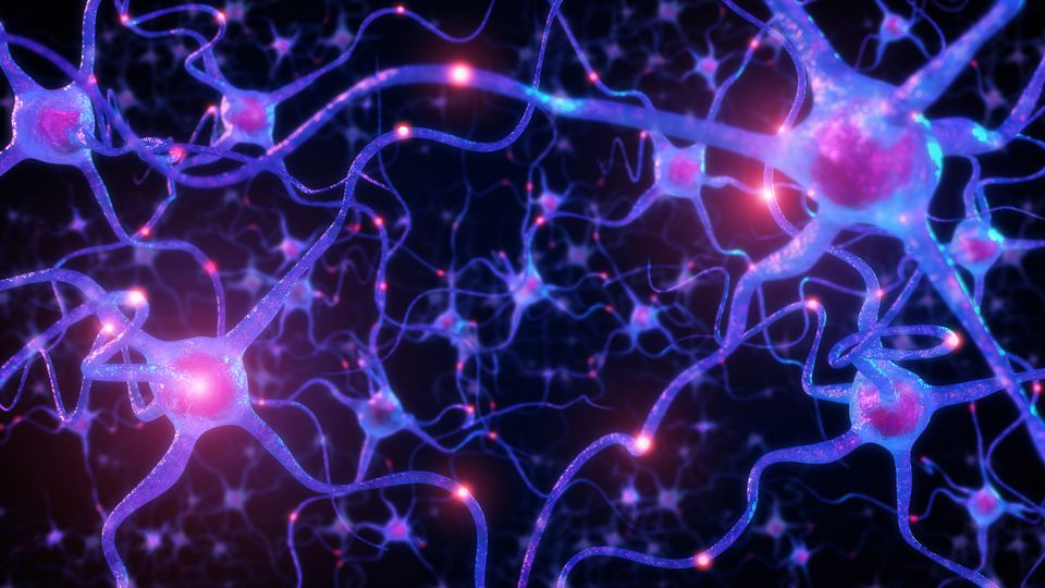 Japanese Scientists Develop Vitamin K Compounds That May Regenerate Lost Brain Neurons, Offering Hope for Alzheimer's and Parkinson's