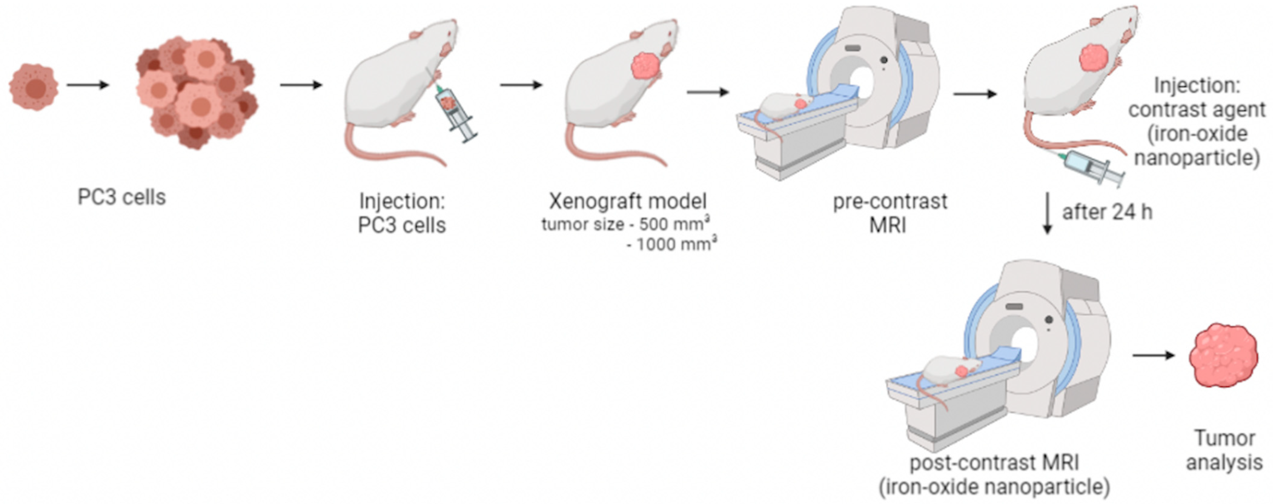 Silica Nanoparticles Trigger Complete Remission of Aggressive Prostate Cancer in Mouse Studies